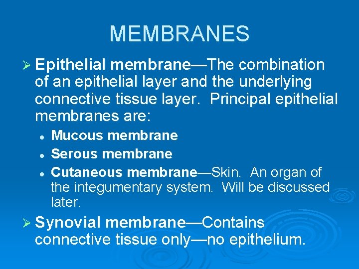 MEMBRANES Ø Epithelial membrane—The combination of an epithelial layer and the underlying connective tissue