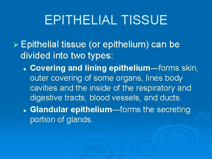 EPITHELIAL TISSUE Ø Epithelial tissue (or epithelium) can be divided into two types: l