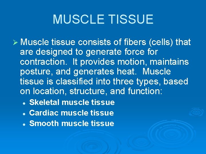 MUSCLE TISSUE Ø Muscle tissue consists of fibers (cells) that are designed to generate
