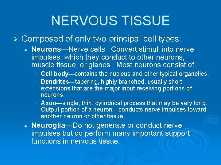 NERVOUS TISSUE Ø Composed of only two principal cell types: l Neurons—Nerve cells. Convert