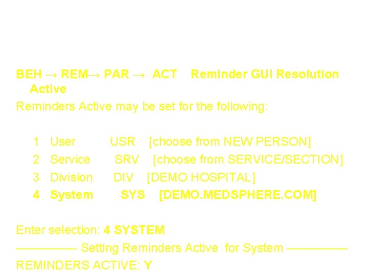 Step 2: Parameter 1 BEH → REM→ PAR → ACT Reminder GUI Resolution Active