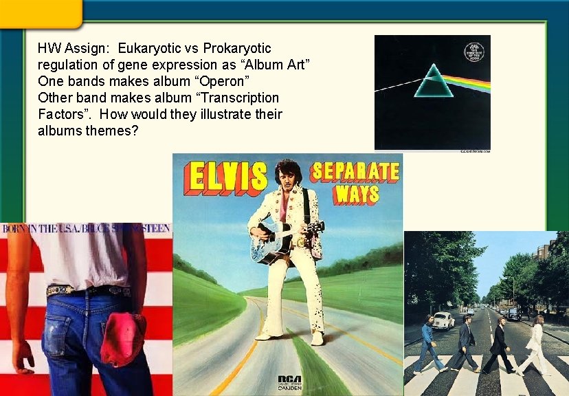 HW Assign: Eukaryotic vs Prokaryotic regulation of gene expression as “Album Art” One bands