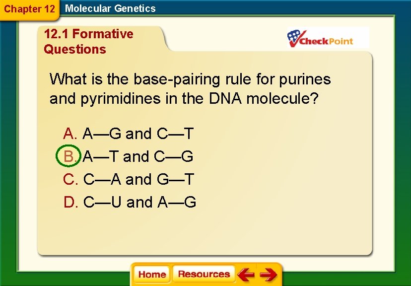 Chapter 12 Molecular Genetics 12. 1 Formative Questions What is the base-pairing rule for