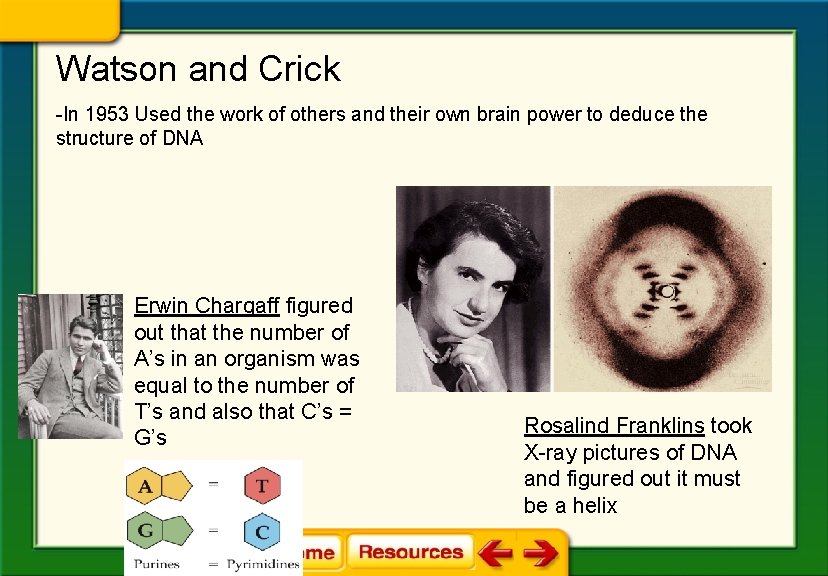 Watson and Crick -In 1953 Used the work of others and their own brain