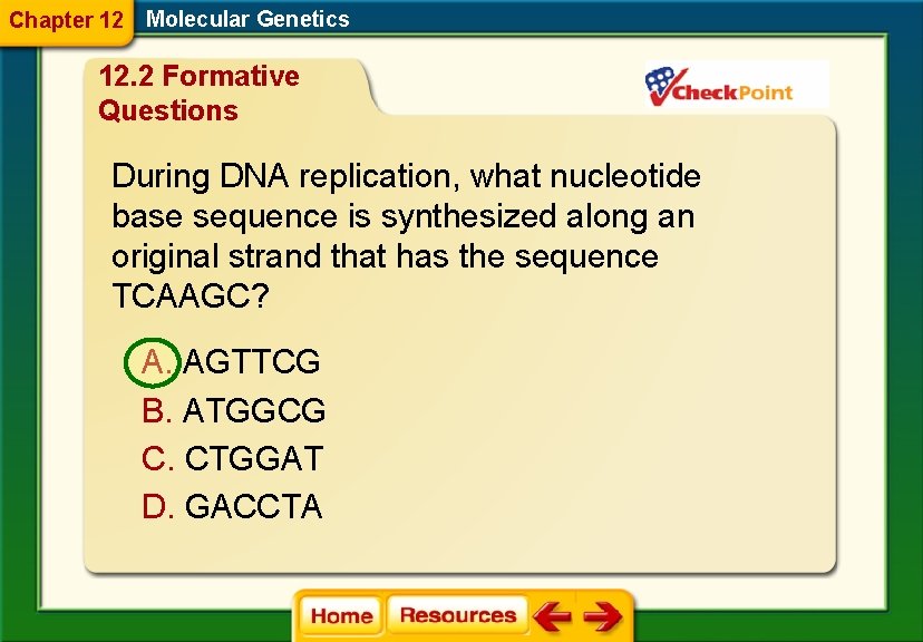 Chapter 12 Molecular Genetics 12. 2 Formative Questions During DNA replication, what nucleotide base
