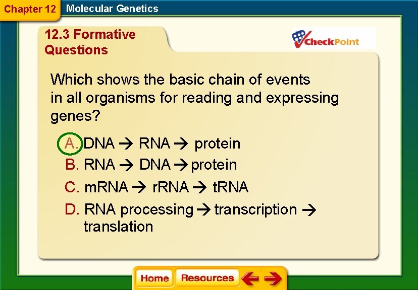 Chapter 12 Molecular Genetics 12. 3 Formative Questions Which shows the basic chain of