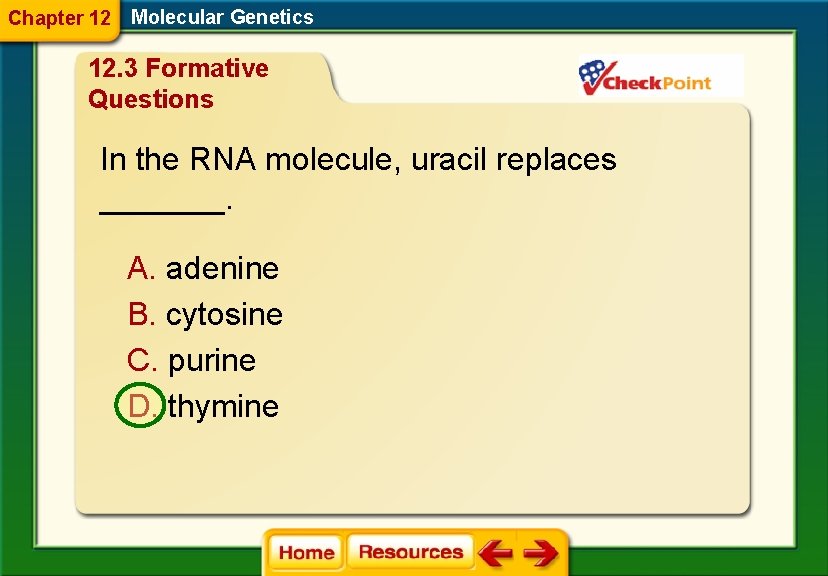 Chapter 12 Molecular Genetics 12. 3 Formative Questions In the RNA molecule, uracil replaces