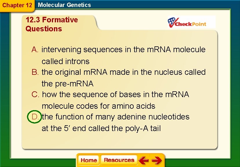 Chapter 12 Molecular Genetics 12. 3 Formative Questions A. intervening sequences in the m.