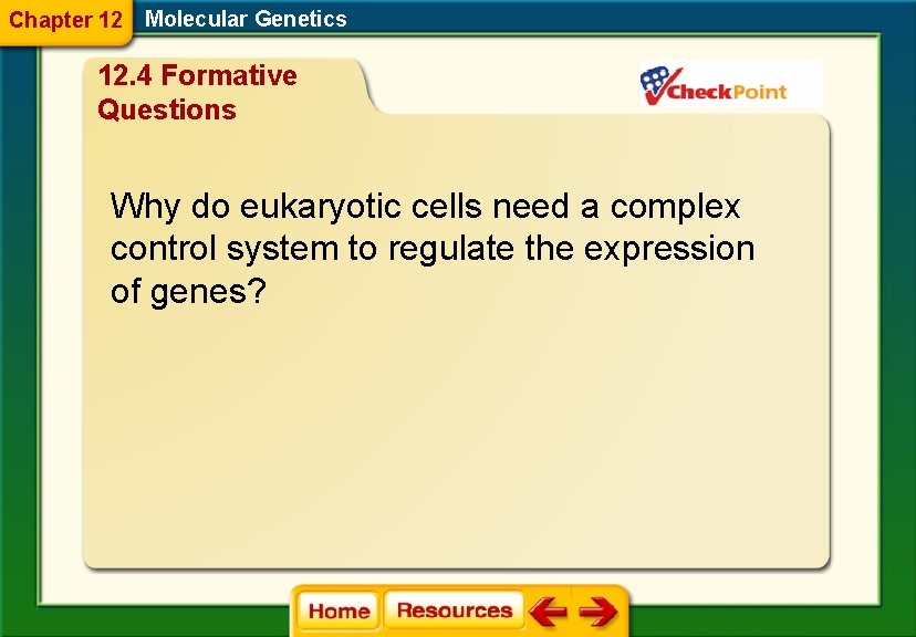 Chapter 12 Molecular Genetics 12. 4 Formative Questions Why do eukaryotic cells need a