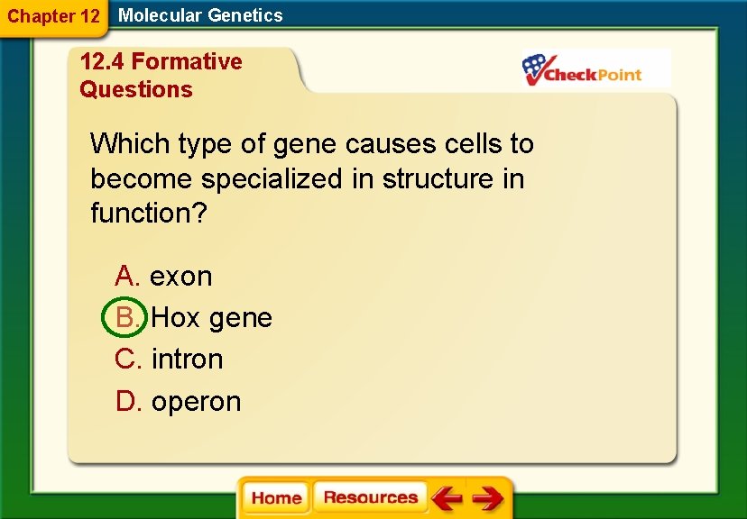 Chapter 12 Molecular Genetics 12. 4 Formative Questions Which type of gene causes cells