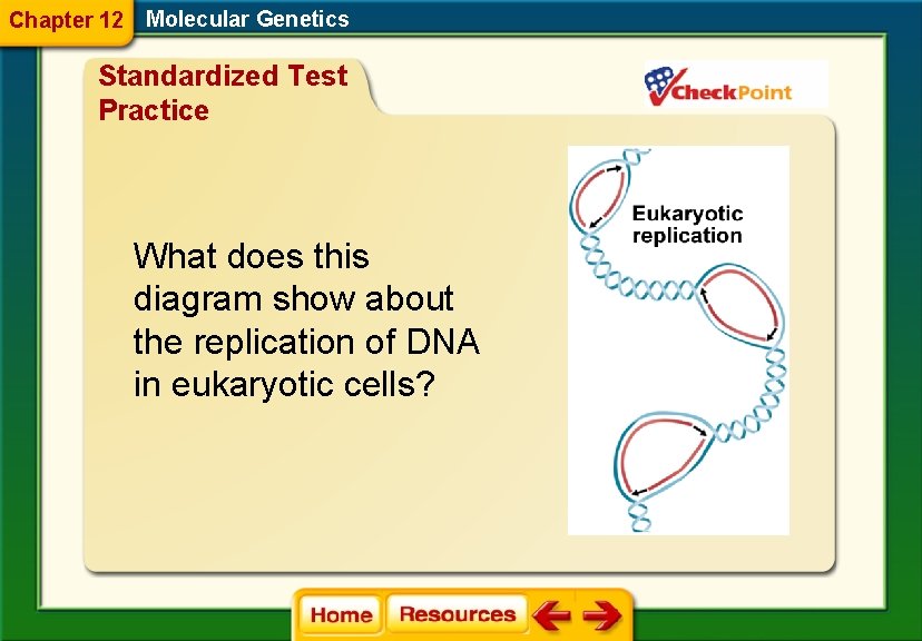 Chapter 12 Molecular Genetics Standardized Test Practice What does this diagram show about the