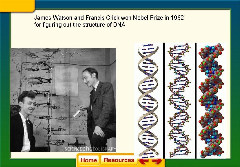 James Watson and Francis Crick won Nobel Prize in 1962 for figuring out the