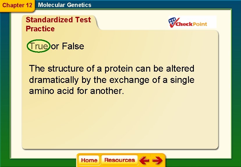 Chapter 12 Molecular Genetics Standardized Test Practice True or False The structure of a