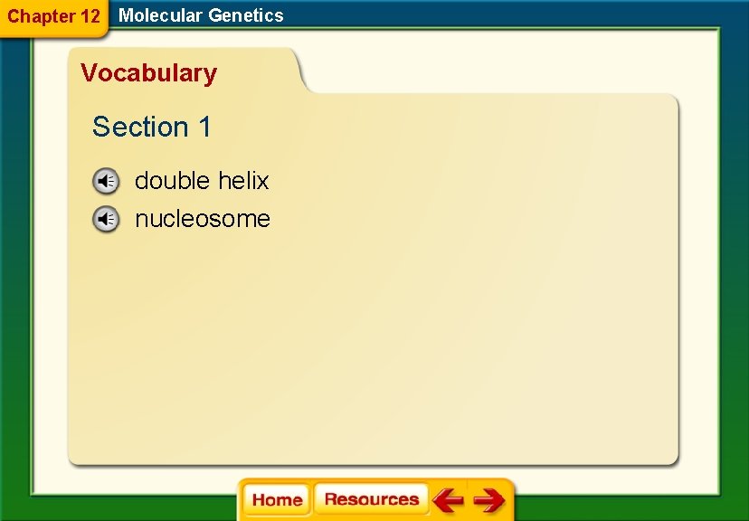 Chapter 12 Molecular Genetics Vocabulary Section 1 double helix nucleosome 