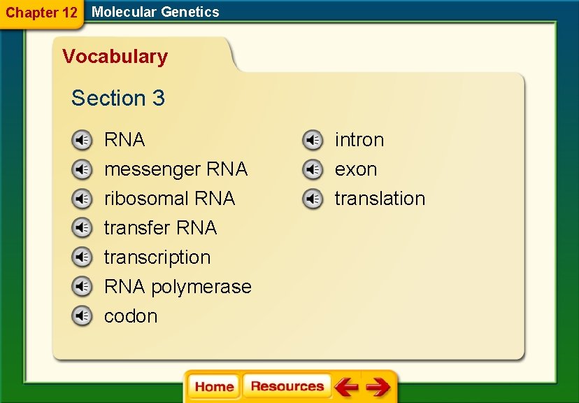 Chapter 12 Molecular Genetics Vocabulary Section 3 RNA intron messenger RNA ribosomal RNA transfer