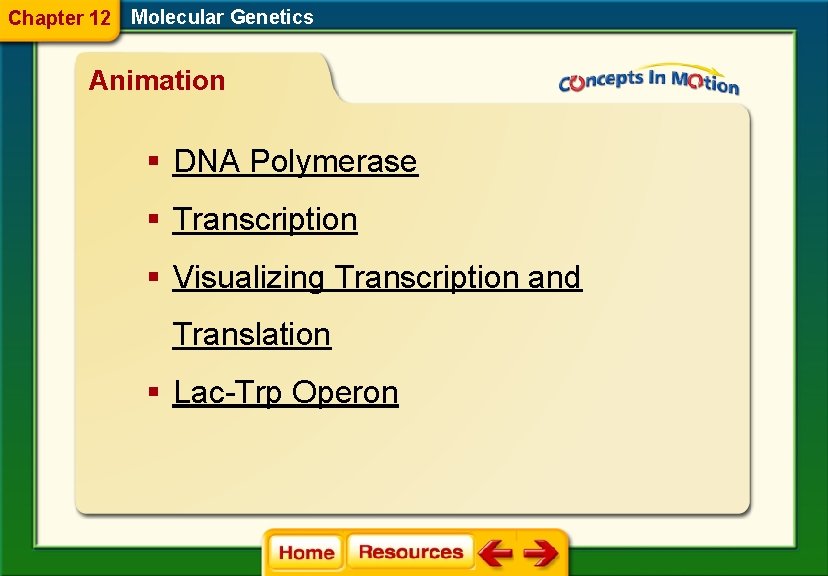 Chapter 12 Molecular Genetics Animation § DNA Polymerase § Transcription § Visualizing Transcription and