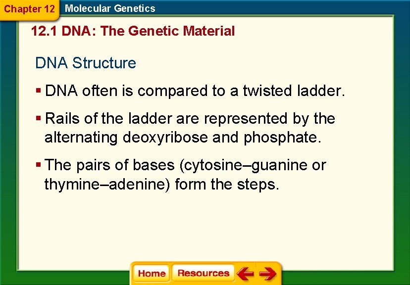 Chapter 12 Molecular Genetics 12. 1 DNA: The Genetic Material DNA Structure § DNA