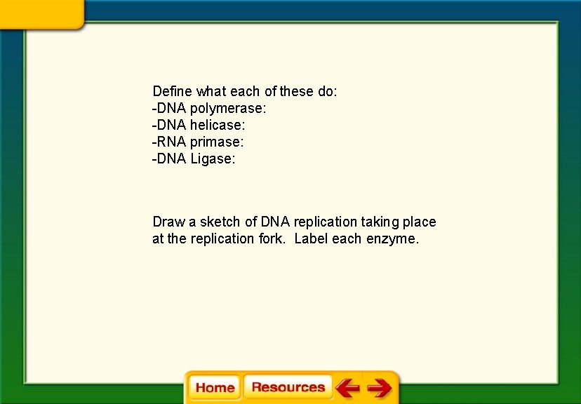 Define what each of these do: -DNA polymerase: -DNA helicase: -RNA primase: -DNA Ligase: