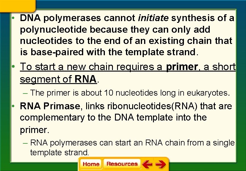  • DNA polymerases cannot initiate synthesis of a polynucleotide because they can only