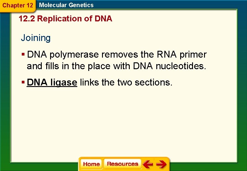 Chapter 12 Molecular Genetics 12. 2 Replication of DNA Joining § DNA polymerase removes