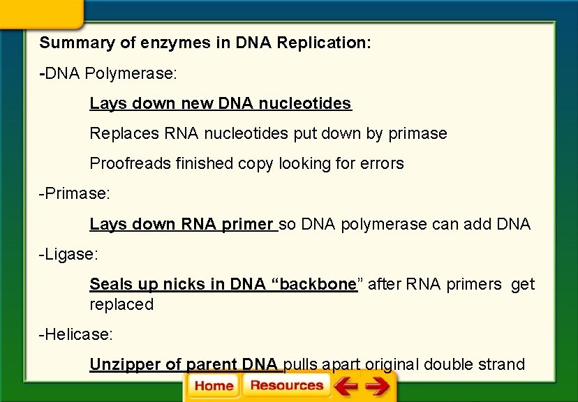 Summary of enzymes in DNA Replication: -DNA Polymerase: Lays down new DNA nucleotides Replaces