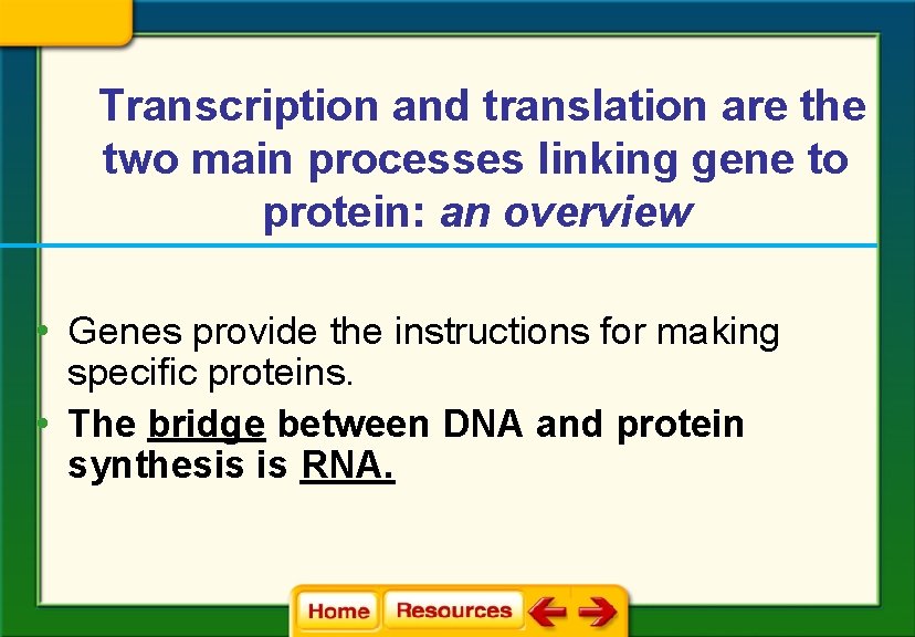 Transcription and translation are the two main processes linking gene to protein: an overview