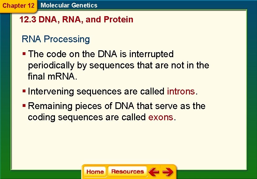 Chapter 12 Molecular Genetics 12. 3 DNA, RNA, and Protein RNA Processing § The