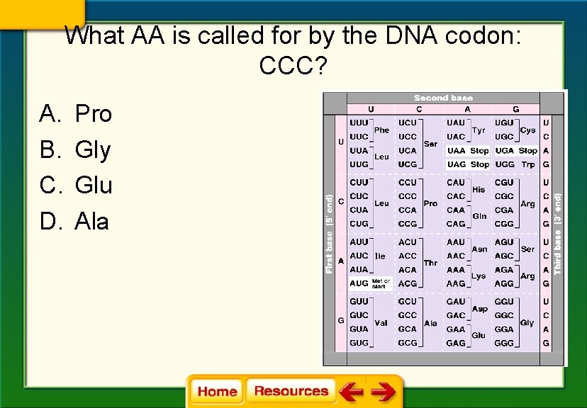 What AA is called for by the DNA codon: CCC? A. B. C. D.