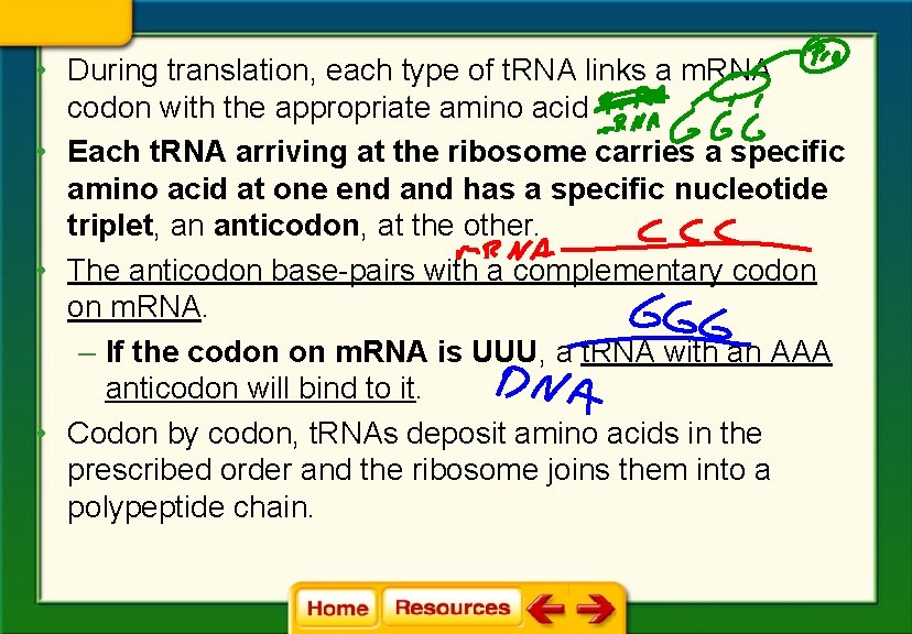  • During translation, each type of t. RNA links a m. RNA codon