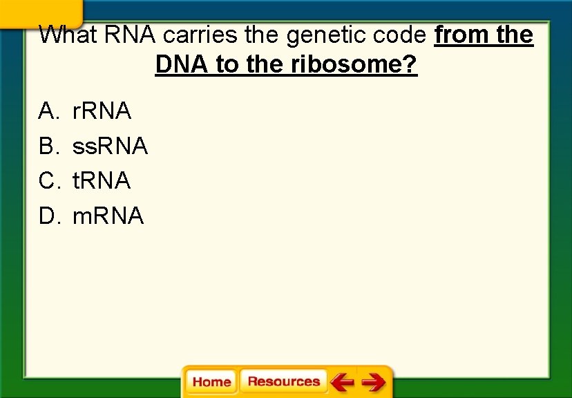 What RNA carries the genetic code from the DNA to the ribosome? A. B.