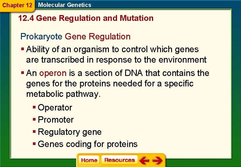 Chapter 12 Molecular Genetics 12. 4 Gene Regulation and Mutation Prokaryote Gene Regulation §