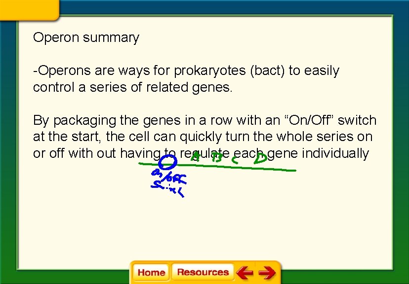 Operon summary -Operons are ways for prokaryotes (bact) to easily control a series of