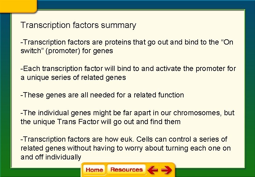 Transcription factors summary -Transcription factors are proteins that go out and bind to the