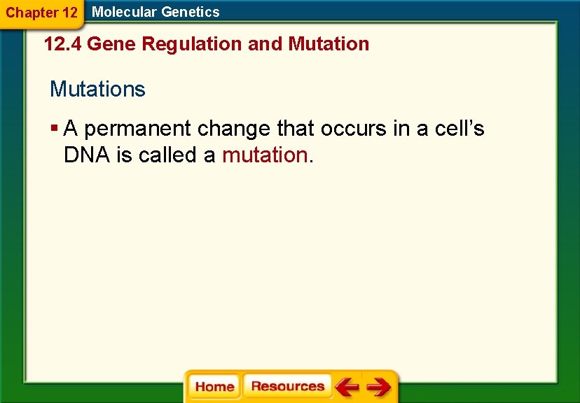 Chapter 12 Molecular Genetics 12. 4 Gene Regulation and Mutations § A permanent change
