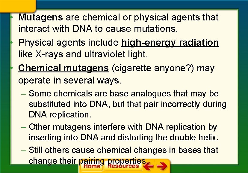  • Mutagens are chemical or physical agents that interact with DNA to cause