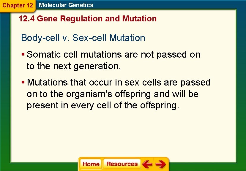 Chapter 12 Molecular Genetics 12. 4 Gene Regulation and Mutation Body-cell v. Sex-cell Mutation