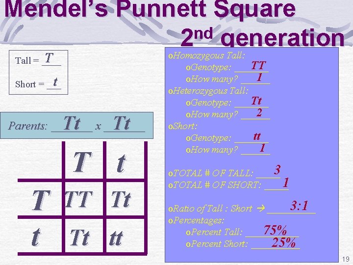 Mendel’s Punnett Square nd 2 generation o T Tall = ____ t Short =