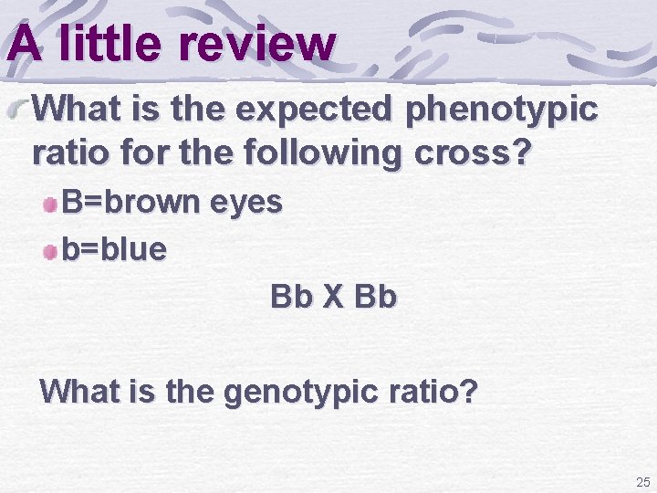 A little review What is the expected phenotypic ratio for the following cross? B=brown