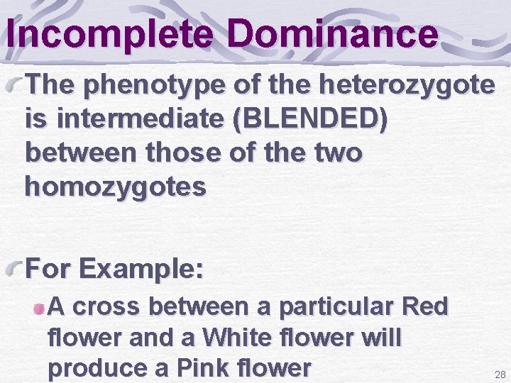 Incomplete Dominance The phenotype of the heterozygote is intermediate (BLENDED) between those of the