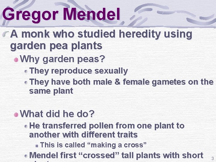 Gregor Mendel A monk who studied heredity using garden pea plants Why garden peas?