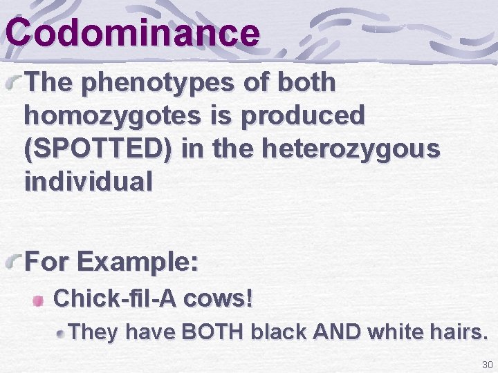 Codominance The phenotypes of both homozygotes is produced (SPOTTED) in the heterozygous individual For