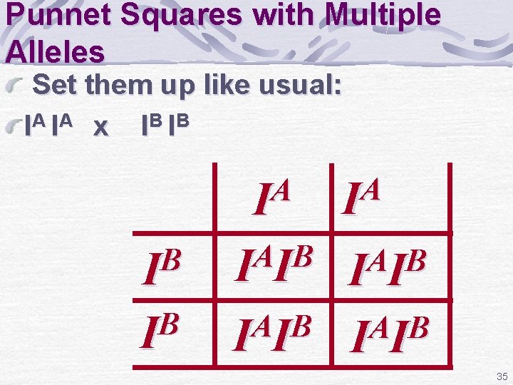 Punnet Squares with Multiple Alleles Set them up like usual: IA IA x I
