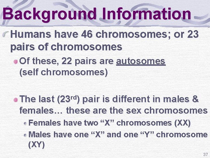 Background Information Humans have 46 chromosomes; or 23 pairs of chromosomes Of these, 22