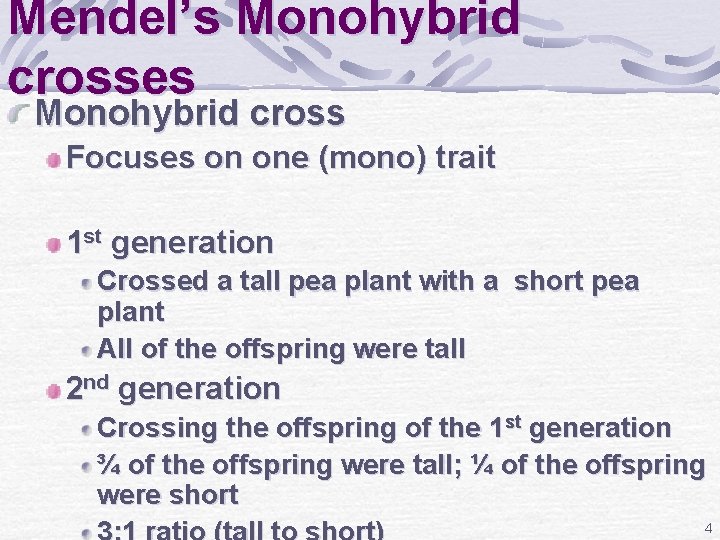 Mendel’s Monohybrid crosses Monohybrid cross Focuses on one (mono) trait 1 st generation Crossed