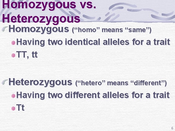 Homozygous vs. Heterozygous Homozygous (“homo” means “same”) Having two identical alleles for a trait