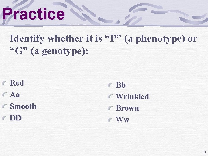 Practice Identify whether it is “P” (a phenotype) or “G” (a genotype): Red Aa