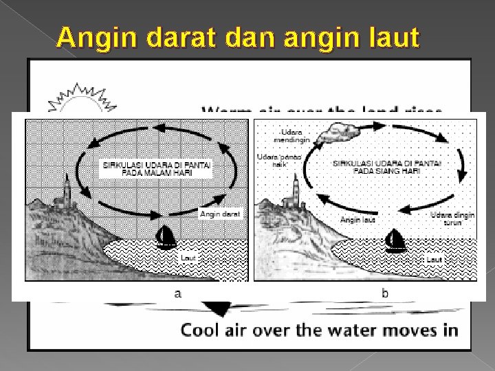 Angin darat dan angin laut 