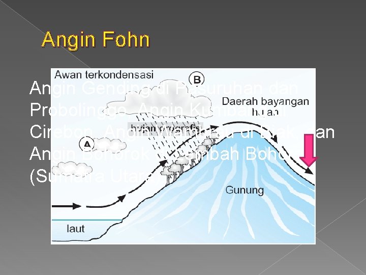 Angin Fohn Angin Gending di Pasuruhan dan Probolinggo, Angin Kumbang di Cirebon, Angin Wambrau