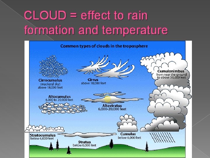 CLOUD = effect to rain formation and temperature 