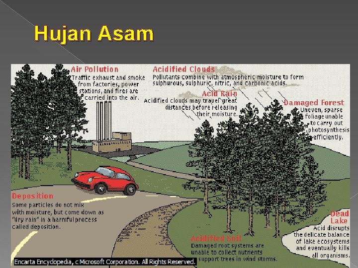 Hujan Asam 